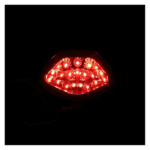Lámpara traseras LED integrada intermitentes y luz de freno para Honda CBR y CB300F 6