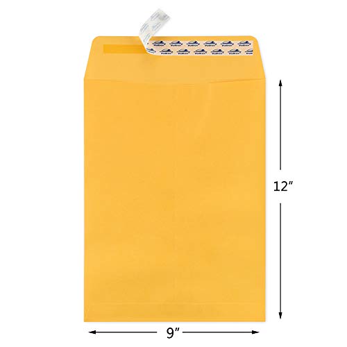 ValBox-9x12-Self-Seal-Security-Catalog-Envelopes-250-Packs-Brown-Kraft-Envelopes-with-Peel-and-Seal-Flap-for-Mailing-Organizing-and-Storage
