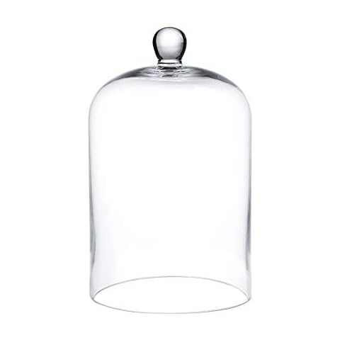 WHOLE HOUSEWARES | Cloche Glass Dome | Clear Glass Bell Jar | DIY Snow Globes | Decorative Cloche Jar | Glass Cloche to Cover Plants and Decorations | Cloche Jar for Home Décor (6"x10") Cover