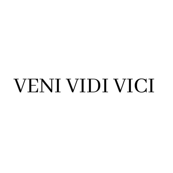 Veni Vidi Vici Semi-Permanent Temporary Tattoo Bold Protective Design for Adults | Waterproof Sweatproof Tattoo | Long-Lasting Body Art (4x1 inches)-image-38