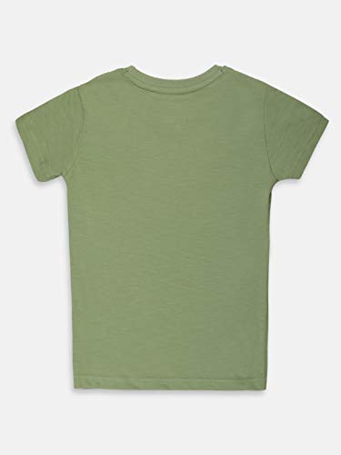 Image of Lil Tomatoes Boys Cotton Lycra T-Shirts