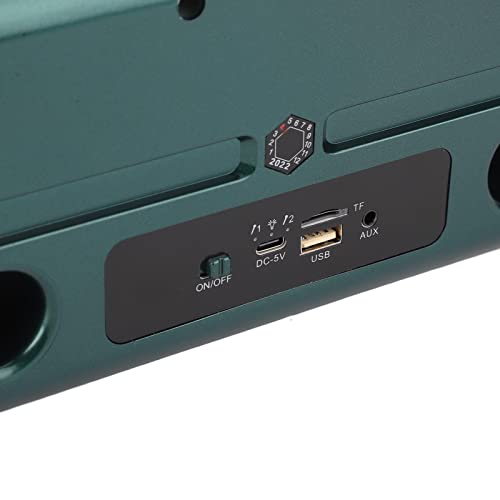 Máquina de karaokê, alto-falantes Bluetooth portáteis com 2 microfones para festa em casa, reunião,