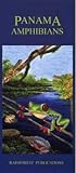 Panama Amphibians Field Guide (Laminated Foldout Pocket Field Guide) (English and Spanish Edition)