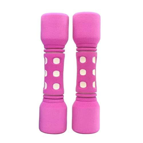 SUPVOX 2 Piezas mancuerna para mujer deportista pesas de fitness pesas de mano para mujeres peso de la mano de fitness equipo mudo pilates Yoga pesas con mancuernas mancuerna pequeña rosa