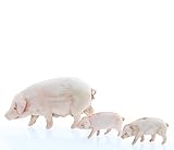 Zoom IMG-2 moranduzzo 12 animali da cortile Zoom IMG-2 moranduzzo 12 animali da cortile