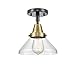 Innovations 447-1C-BAB-G4474 One Light Flush Mount from Franklin Restoration Collection