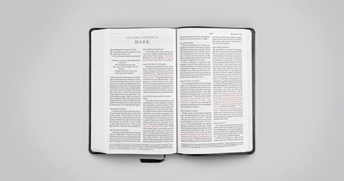 ESV Premium Church Bible, Large Print, Red Letter (TruTone, Black): Holy Bible, English Standard Version - image 4