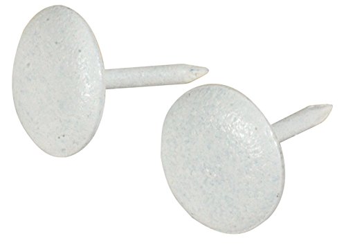 Floral Clavo with Loose Nail 1-1/8