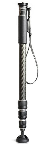 Gitzo GM2542 Series-2 Carbon eXact 4-Section Monopod replaces the GM2541