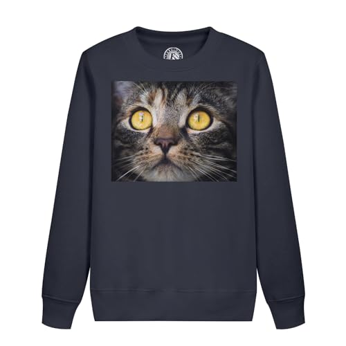Sweatshirt chat tigre européen pour enfant avec portrait de chaton aux yeux jaunes