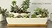 WISH HALLY WOOD 11inch long rectangle White Ceramic Succulent Planter Pots/Mini Flower Plant Containers with Bamboo Saucers. Product size:11x2.36x1.77inch,not include The plant. (long rectangle)