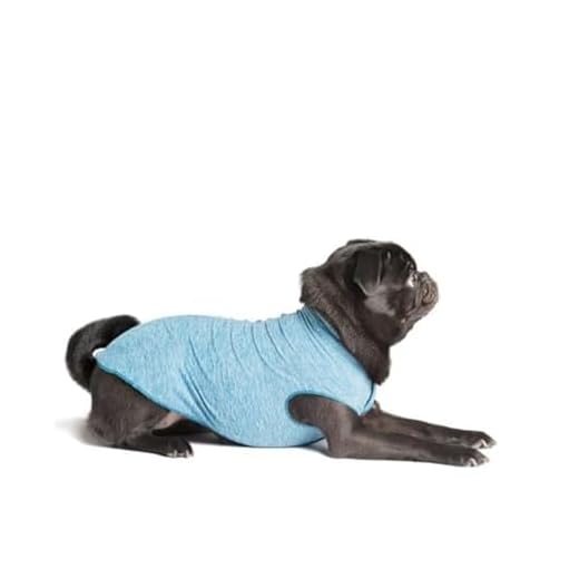 Gold Paw Sun Shield Dog Tee for All Seasons