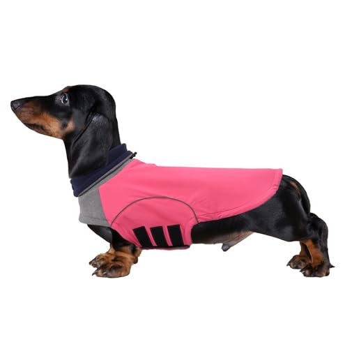 Brabtod Dog Winter Coat for Dachshund,Waterproof Miniature Dachshund Clothes Jacket,Small Dog Coat,Dachshund Jumper with Turtle Neck,Pet Outfit Ideal for Walking,Camping-Pink-S