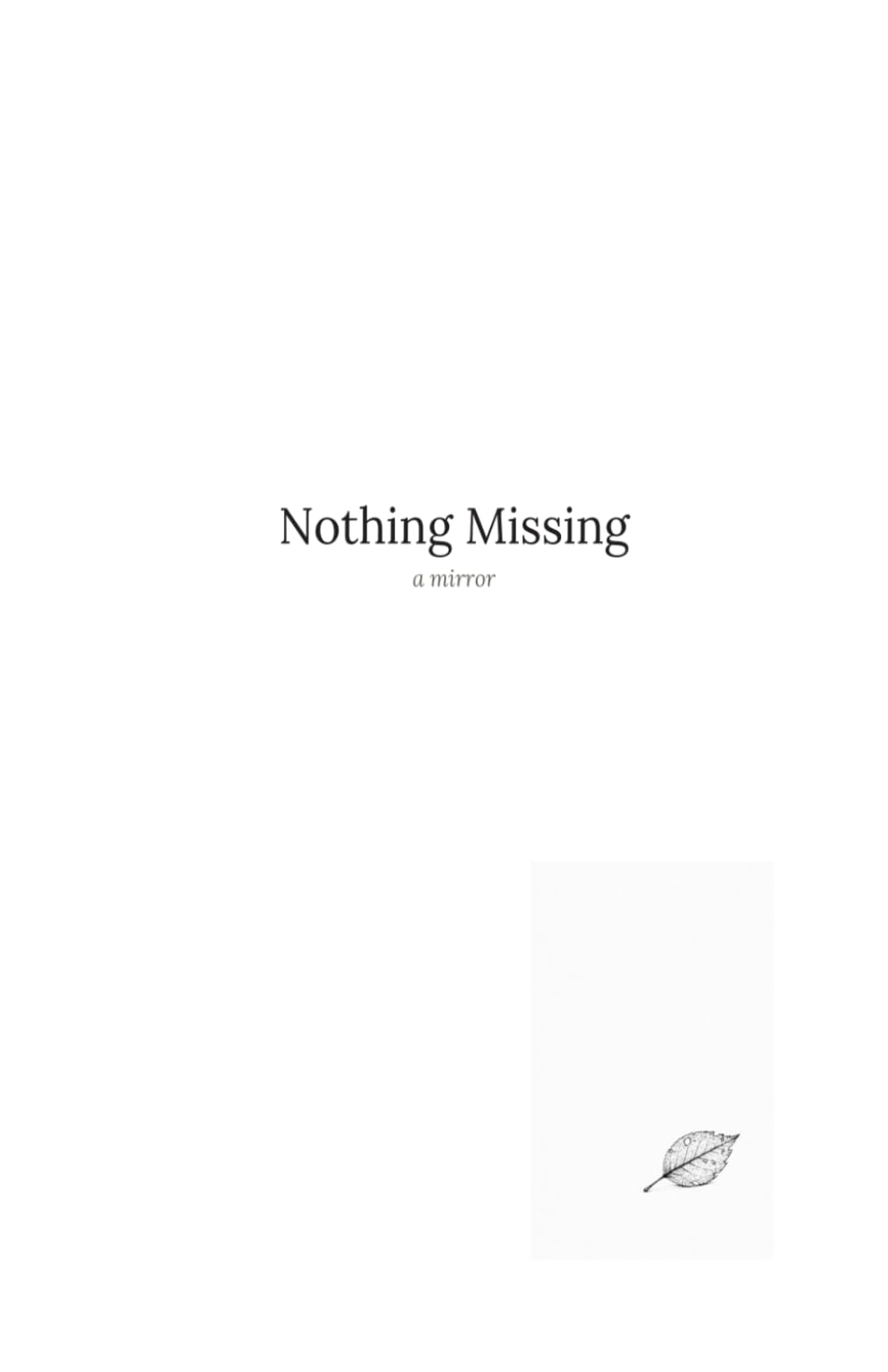Nothing Missing: a mirror