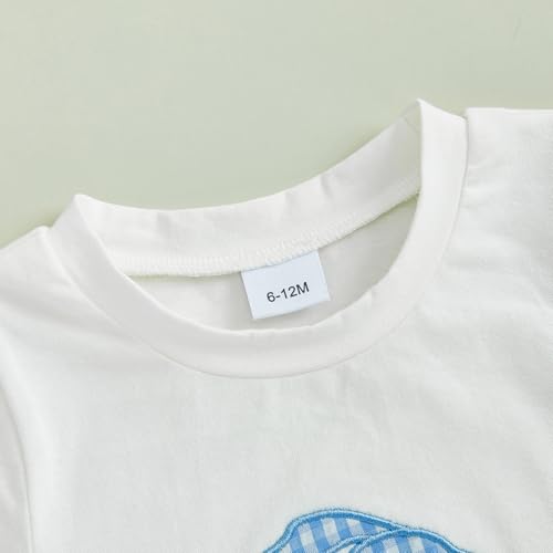 Image of Toddler Baby Boy Easter Rabbit Outfit Short Sleeve Bunny Carrot Smocked T-shirt Elastic Waist Shorts Summer Clothes
