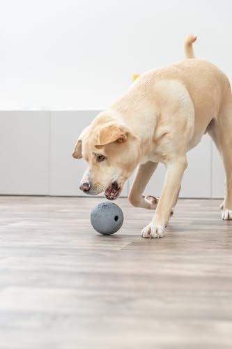 TRIXIE Dog Activity Snackball Naturgummi ø 11 cm Hundespielzeug