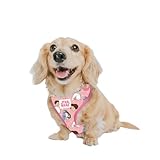 Sassy Woof Dog Adjustable Harness - Star Warsâ„¢ Princess Leia - XS, Breathable Mesh, No Pull Design with Two D-Rings, Perfect for Small Dogs and Puppies - Officially Licensed