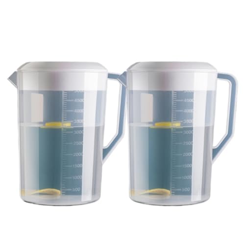 REENEW 2hNWO ␅ 2.5L/4L/5L XP[tvX`bN W[X  e ϔM ₩₩W[X Ɩp R dl sb`[ H@Ή (A,2000 ml)