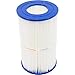 Pleatco PJ25-4 Replacement Cartridge for Jacuzzi CF 25, 1 Cartridge