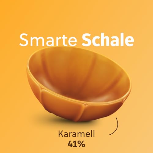Toffifee – 1 x 400 g Maxi-Pack – Haselnuss in Karamell mit Nougatcreme und Schokolade – ideal zum gemeinsamen Naschen und Teilen