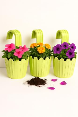 Image of Premium Railing Planter with Hook - Durable Plastic Hanging Flower Pot for Balcony, Fence Design Gamla for Indoor /Outdoor Plants, Herbs & Creepers (Pack of 3) (3, Green)