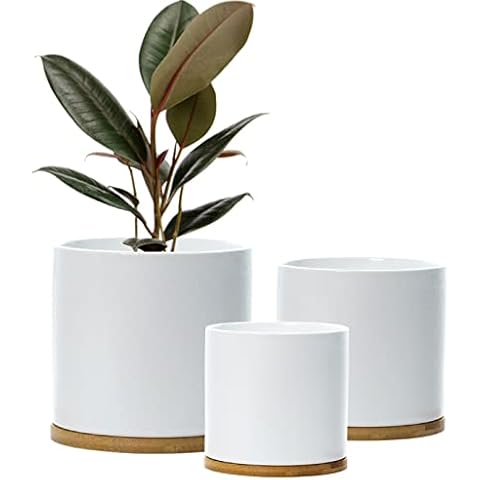Set 3 Ceramic Plant Pots with Bamboo Coasters Indoor Planters White Pot Set Ceramic Flower Pots Containers Outdoor Large, Medium, Small with saucers (White) Cover