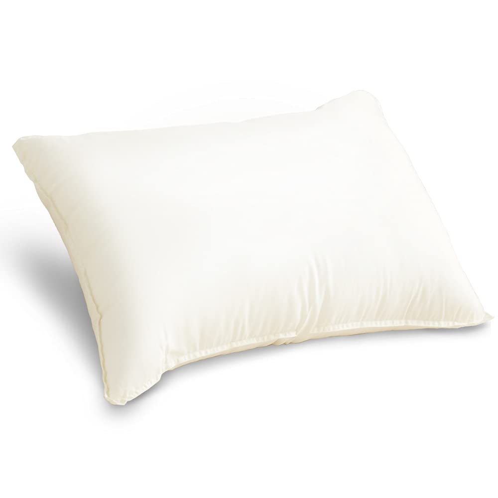 アイリス クール枕 コンセント 美品 Amazon | アイリスオーヤマ 快眠