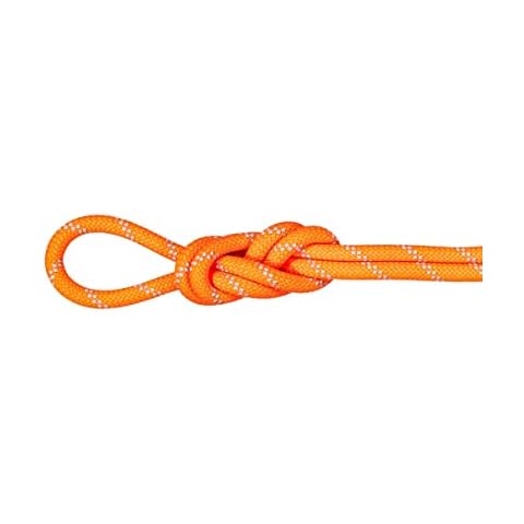 Mammut 9.5 Alpine Dry Kletterseil Cover