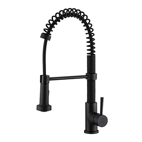 Taps robinet basin multifonction pour évier de cuisine ou vasque mate LWX