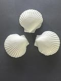 Decorative Seashell Soap Set White, 3-Piece Set, Coastal Beach Theme, 3 Inch Scallop Shells, Sweet Vanilla Chai scented