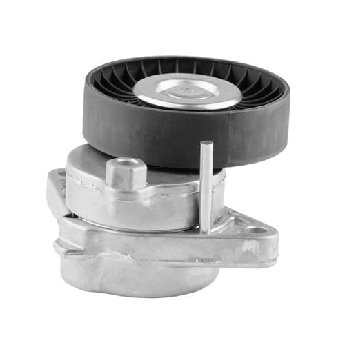 Tendeur de courroie d'entraînement pour réparer le moteur W211 W220
