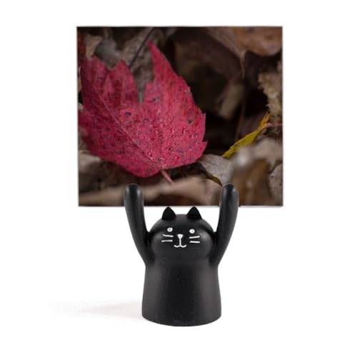 Support pour photo chat noir pour décorer votre salon chaleureux
