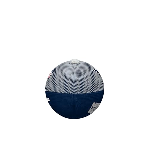 Image of WILSON Unisex NFL Team Tailgate Footballs