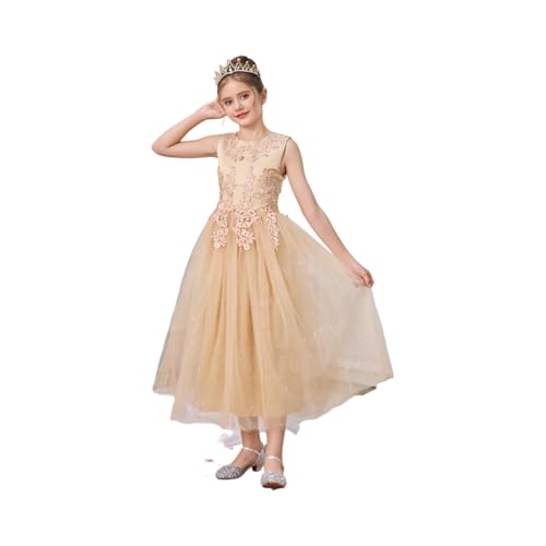 Girls Elegant Lace Flower Tulle Ball Gown Dress Sleeveless Princess Party Wedding Birthday Formal Dresses for Kids