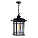 CWI Lighting Blackburn 1-Light Farmhouse Metal Light Outdoor Pendant in Black