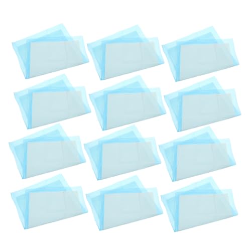 Totority 100 Piezas Alfombra De Entrenamiento para Mascotas Empapadores Perros Almohadillas De Entrenamiento para IR Al Baño Suministros para Perros Sky-Blue Tela No Tejida