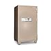 Mesa Safe Company Model MFS-100E 2 Hour Fire Rated Safe with Electronic Lock, Tan