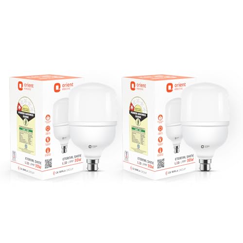 Orient Electric Eternal Shine LED Bulb 30W, B22d Cap, 6500K (Pack of 2)