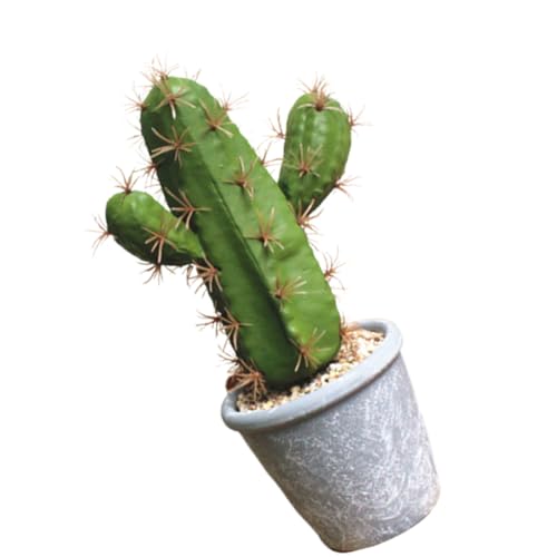 BIUDECO Bonsái de Cactus Artificial Realista Maceta Incluida, Planta Decorativa Simulada de Tamaño Mediano para Decoración del Hogar y Oficina, Planta Falsa Resistente Mantenimiento