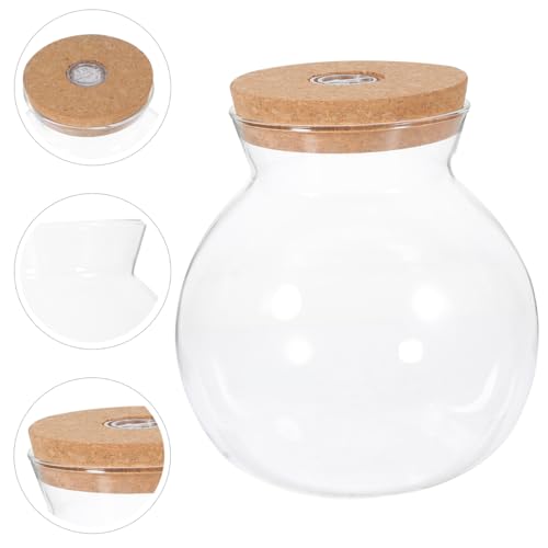 UKCOCO Glasflasche Landschaftsflasche Durchsichtiger Behälter Kleiner Vorratsbehälter Pilzbehälter Led-ngläser Mit Korkdeckel Mikro-Landschaftsvase Aquarium Landschaftsflasche