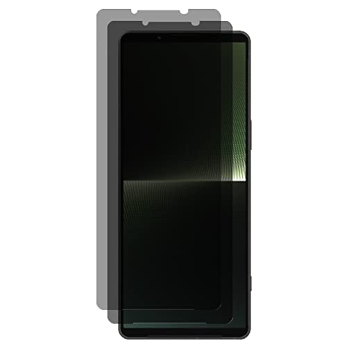 Verre trempé anti-espion pour Sony Xperia 1V protecteur d'écran anti-peeping 9H x2