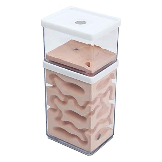 Ant Nest Ant Farm Basic With Free Ants And Queen - Educational Formicarium F Live Ants Ants Nests Kits Anthouse Ant Farm For Kids