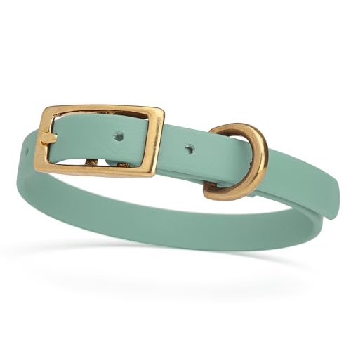 Image of Viper Biothane Heavy Duty Waterproof Dog Collar Strong Coated Nylon Webbing w /Solid Brass Hardware Odor-Proof Easy to Clean High Performance Fits Small Medium or Large Dogs, Sage Green