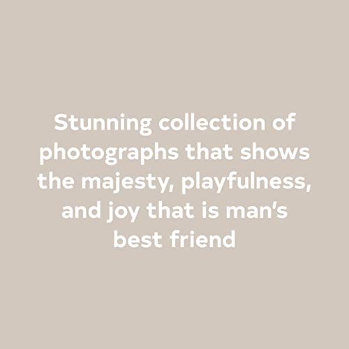 The Year of the Dogs