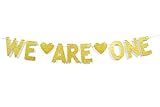 We are One Gold Glitter Garland Bunting Banner, Twins' 1st First Birthday Party Decorations