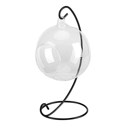 VIFERR Hanging Glass Vase, Transparent Air Plants Succulent Planters Large Elegant Terrarium with Frame