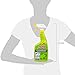 MOLD ARMOR Mold and Mildew Killer + Quick Stain Remover, 32 oz., Trigger Spray Bottle, Eliminates 99.9% of Household Bacteria and Viruses, Ideal Bathroom Mold and Mildew Remover