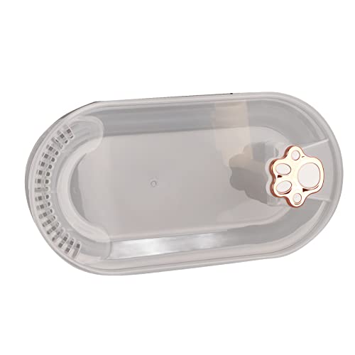 Fuente de agua automática para gatos con motor mejorado miniatura 5