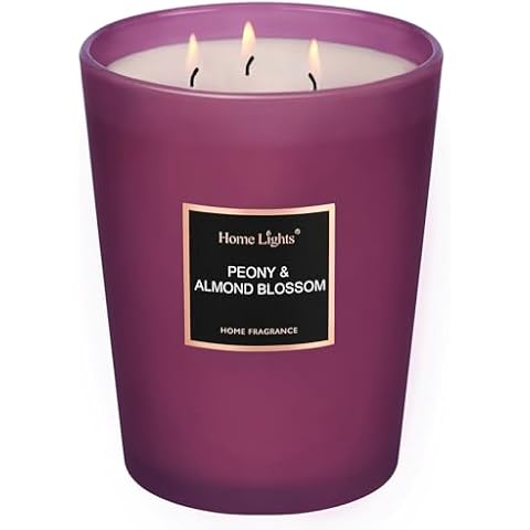 HomeLights Large Jar Scented Candles Cover