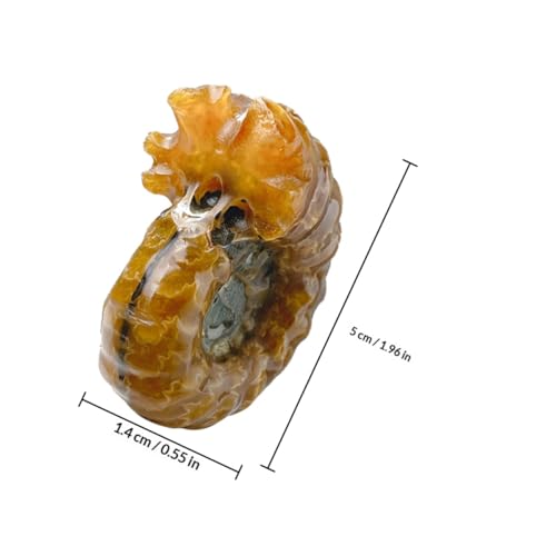 Adorno de piedra de cristal coleccionable con forma de concha 3